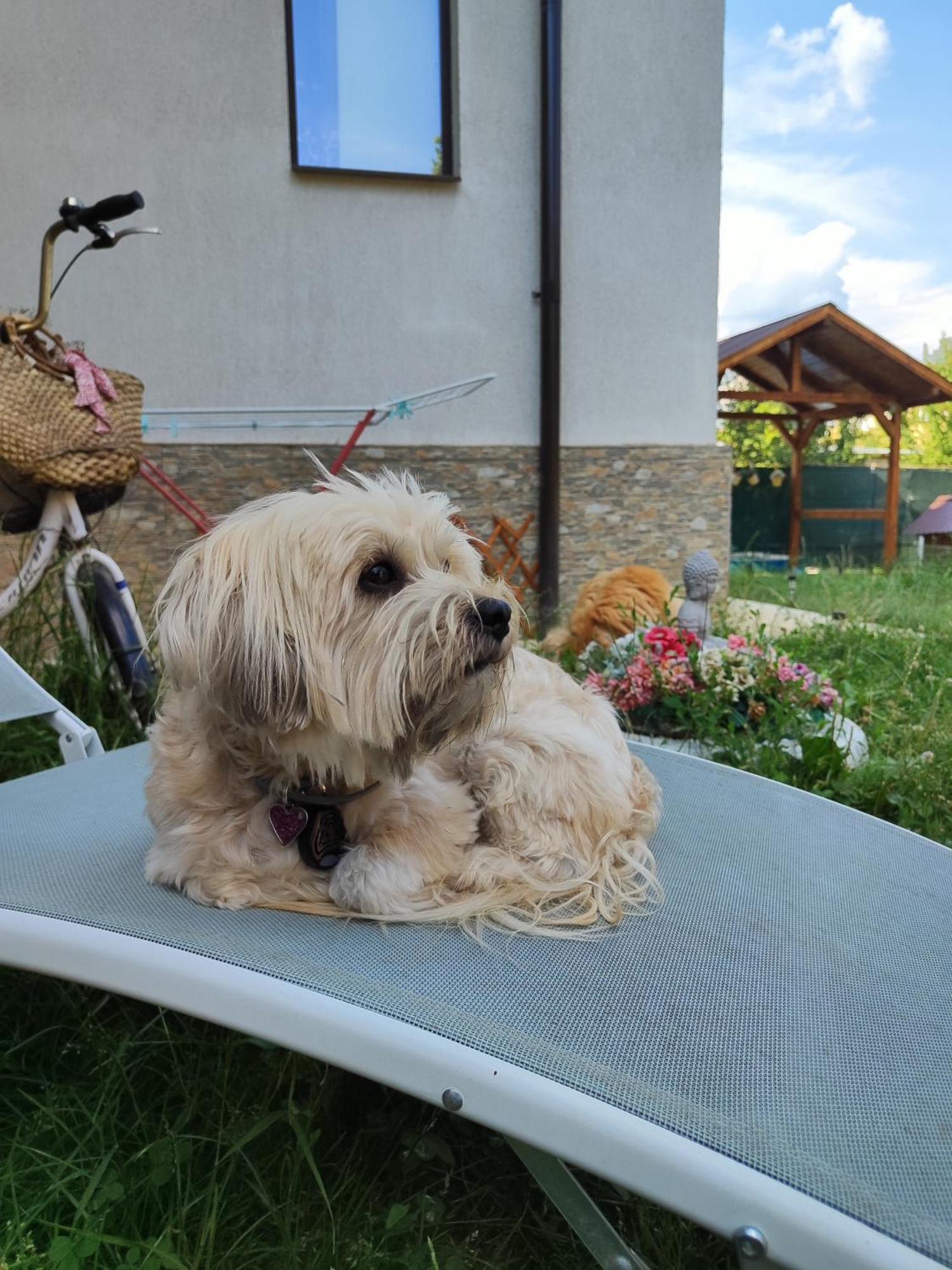 Happy Home Călimăneşti Bagian luar foto